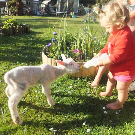 Little Paradise & Petting Farm Греймут Екстер'єр фото