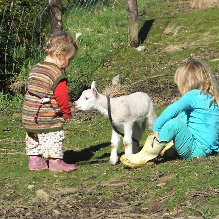 Little Paradise & Petting Farm Греймут Екстер'єр фото