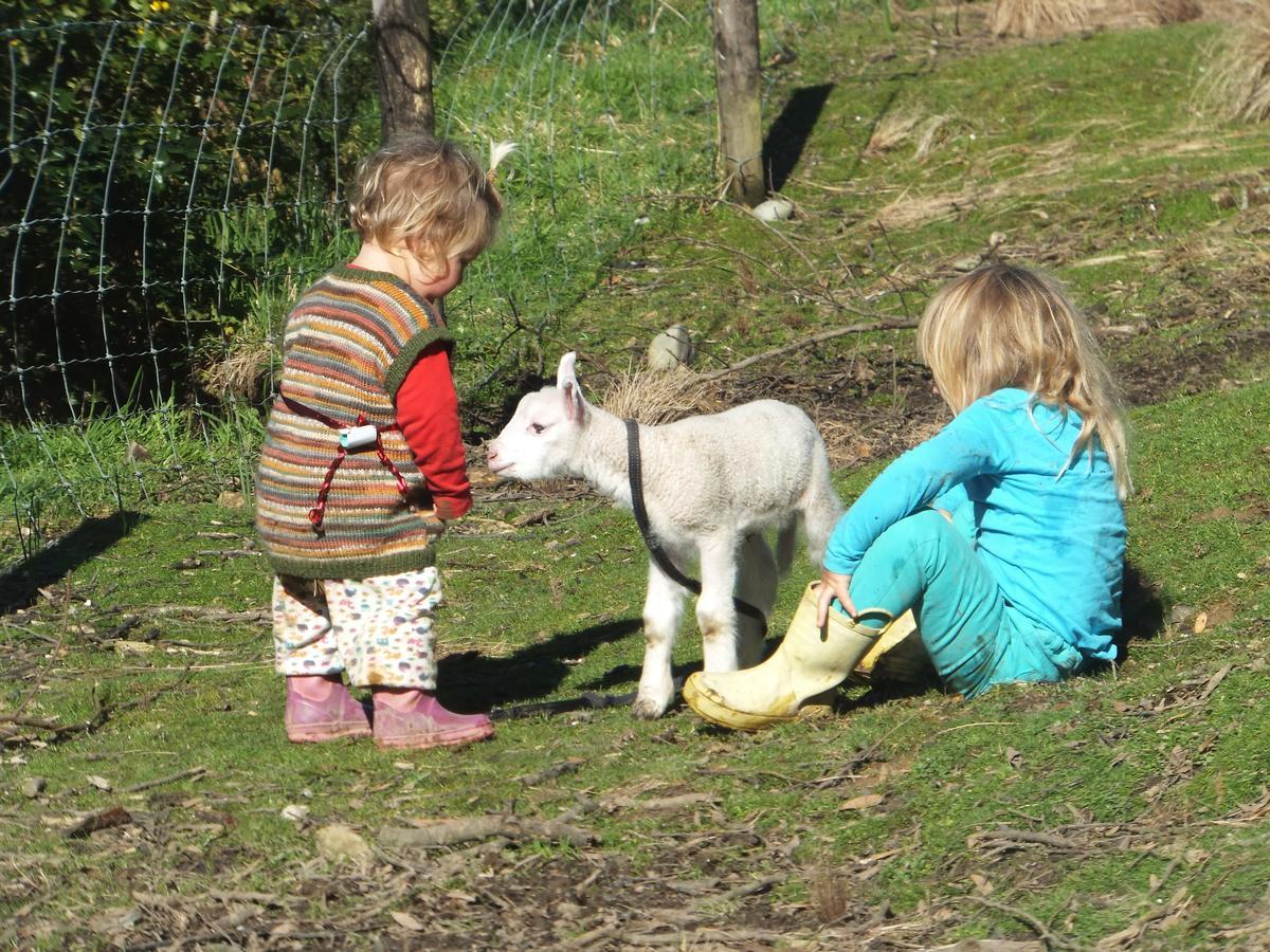 Little Paradise & Petting Farm Греймут Екстер'єр фото